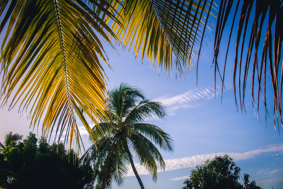 3 Days Resident Beach Safari — Watamu frame 2